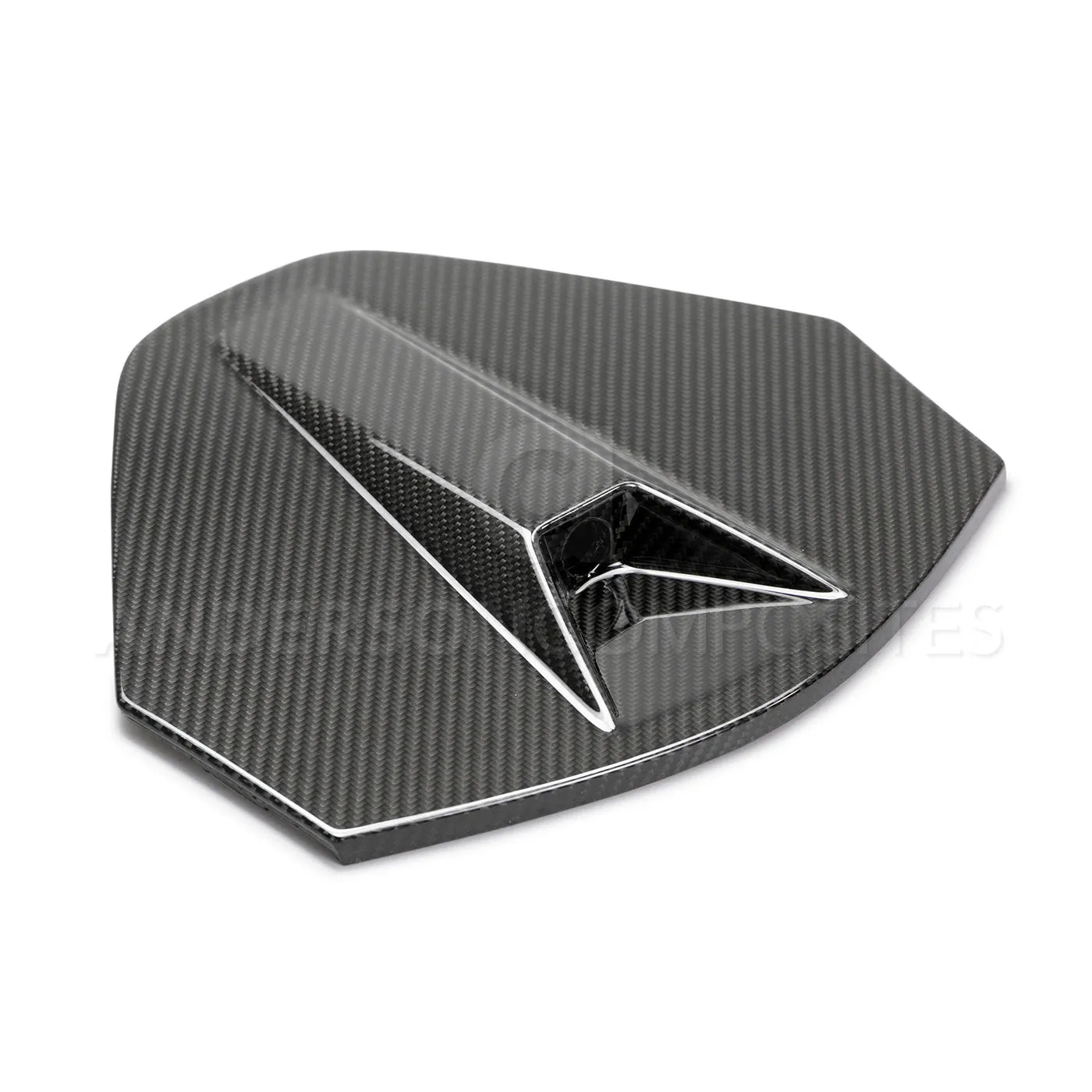 2020 - 2024 Corvette C8 Carbon Fiber Rear Camera Decklid Housing Panel
