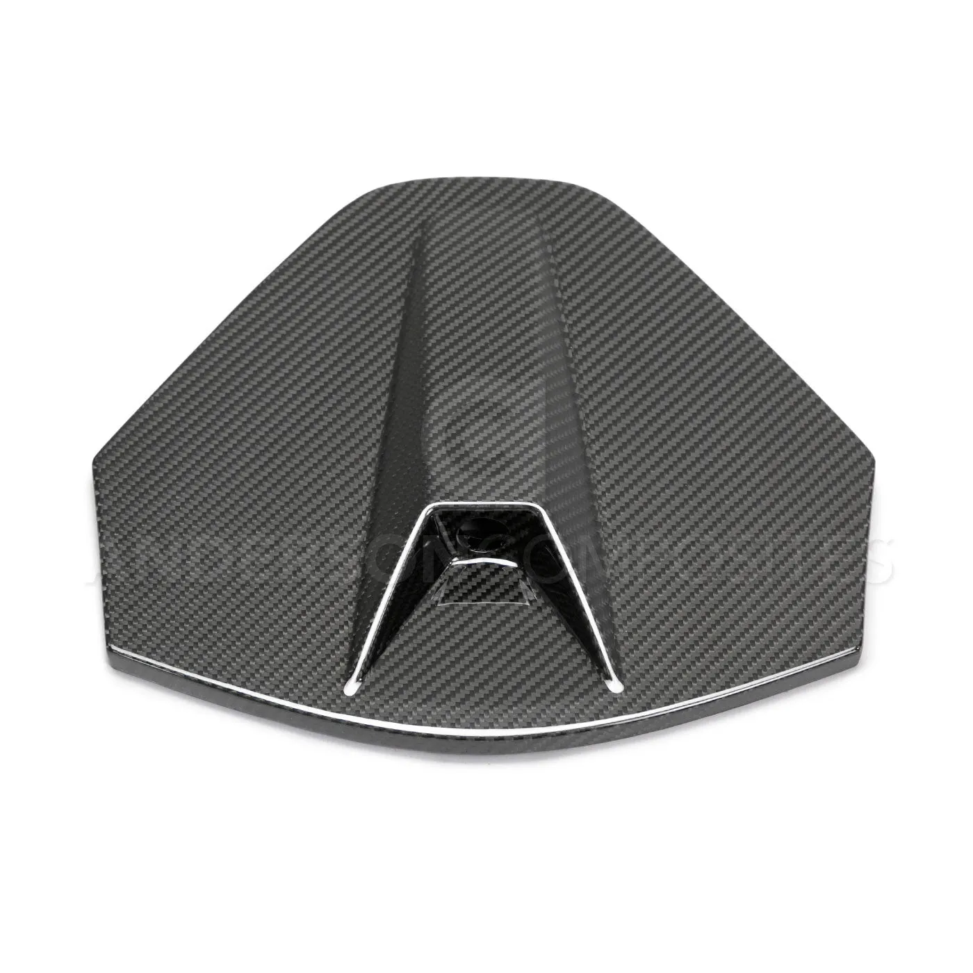 2020 - 2024 Corvette C8 Carbon Fiber Rear Camera Decklid Housing Panel