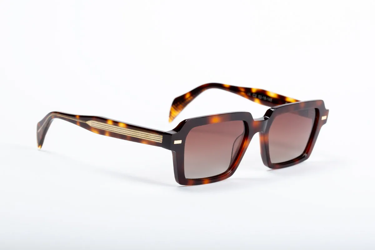 Buster - Havana Tortoise Shell / Gold