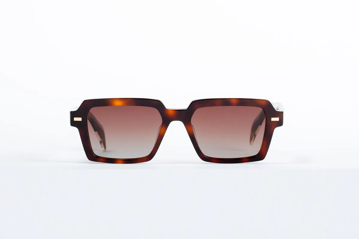 Buster - Havana Tortoise Shell / Gold