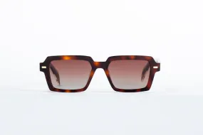 Buster - Havana Tortoise Shell / Gold