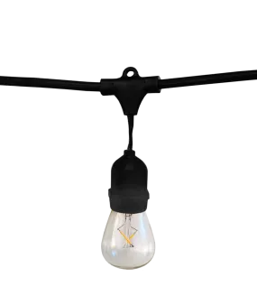 Cafe Light Kit