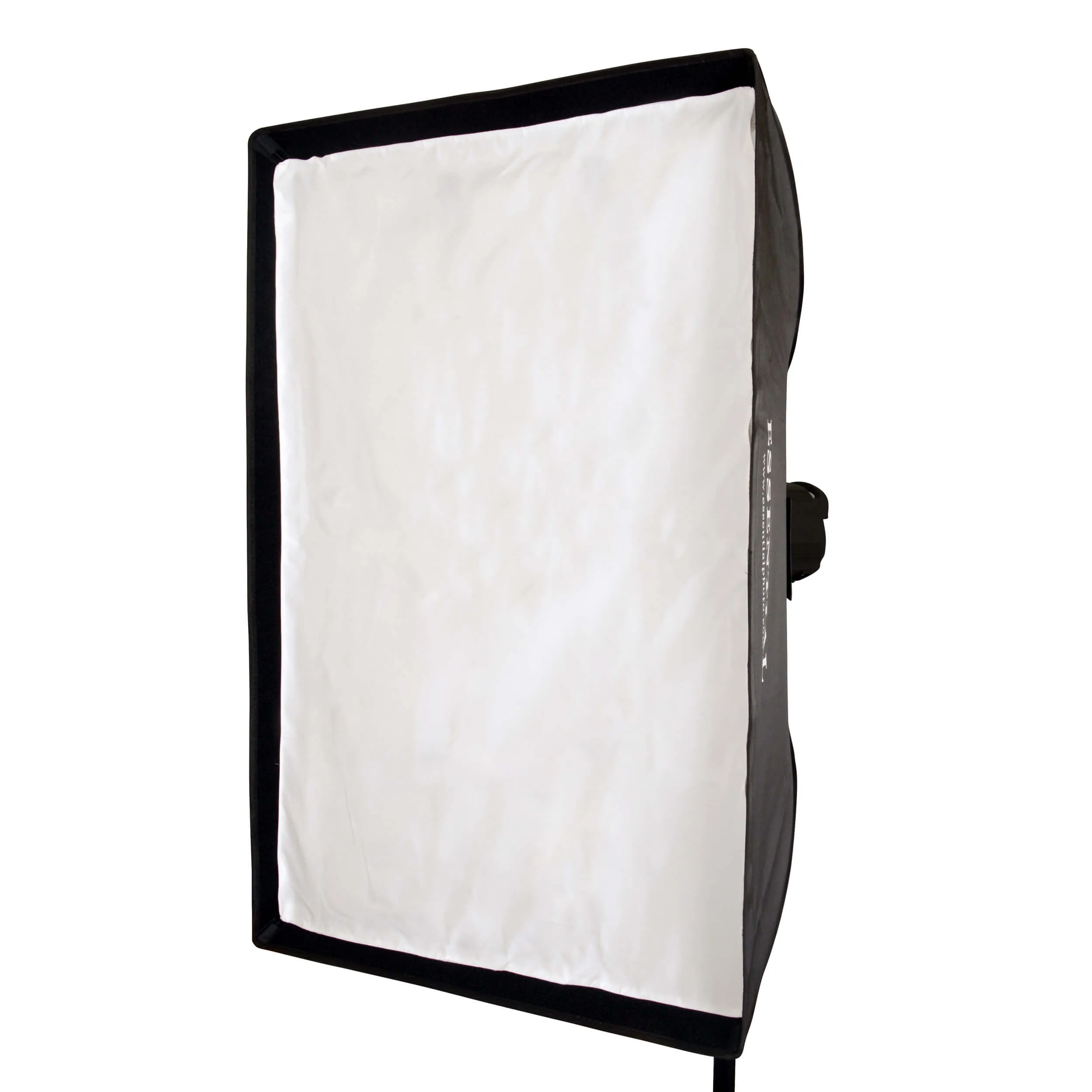 DAYLiTE60D MKII Twin Kit, for Photographing Medium-Sized Paintings