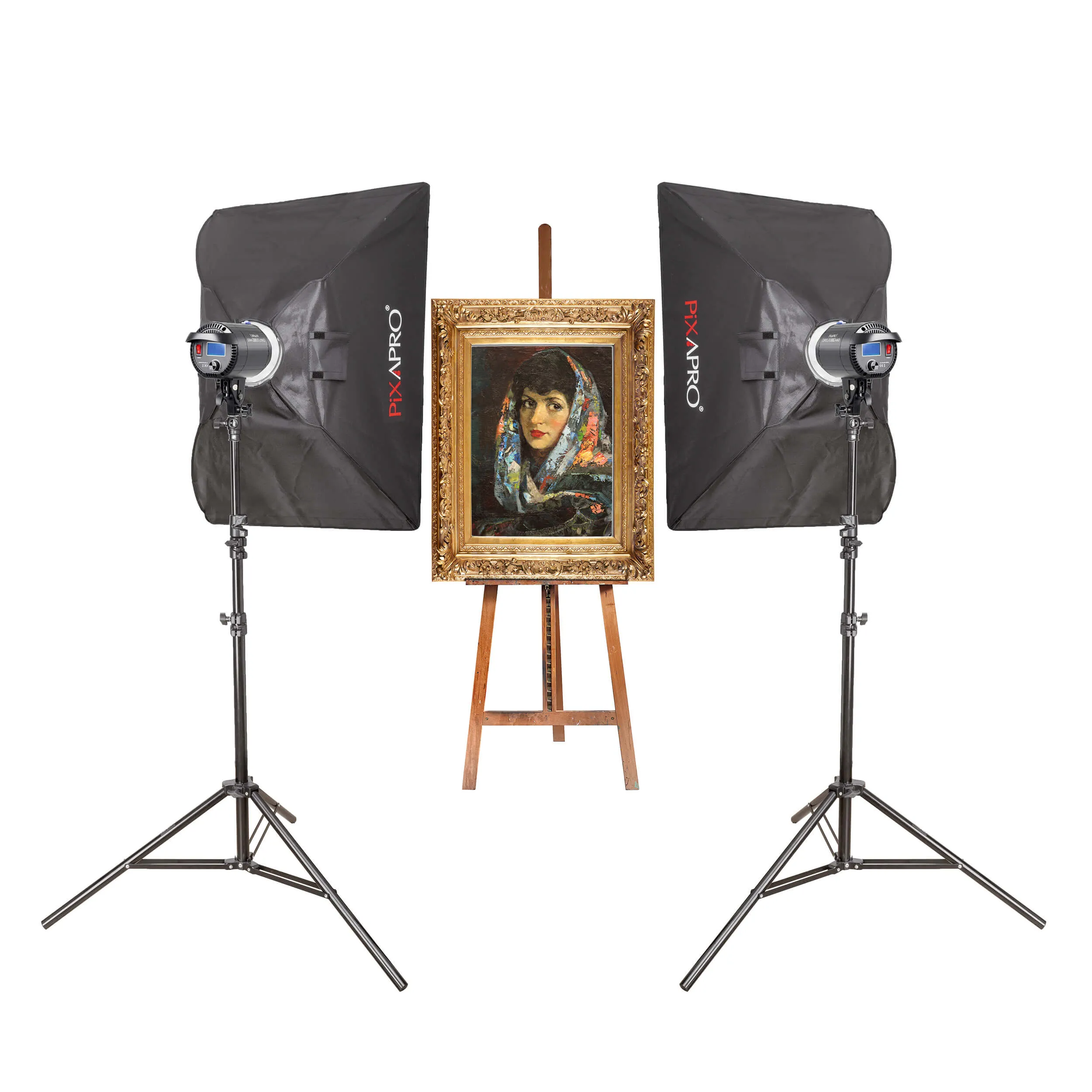 DAYLiTE60D MKII Twin Kit, for Photographing Medium-Sized Paintings
