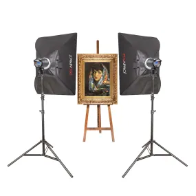DAYLiTE60D MKII Twin Kit, for Photographing Medium-Sized Paintings