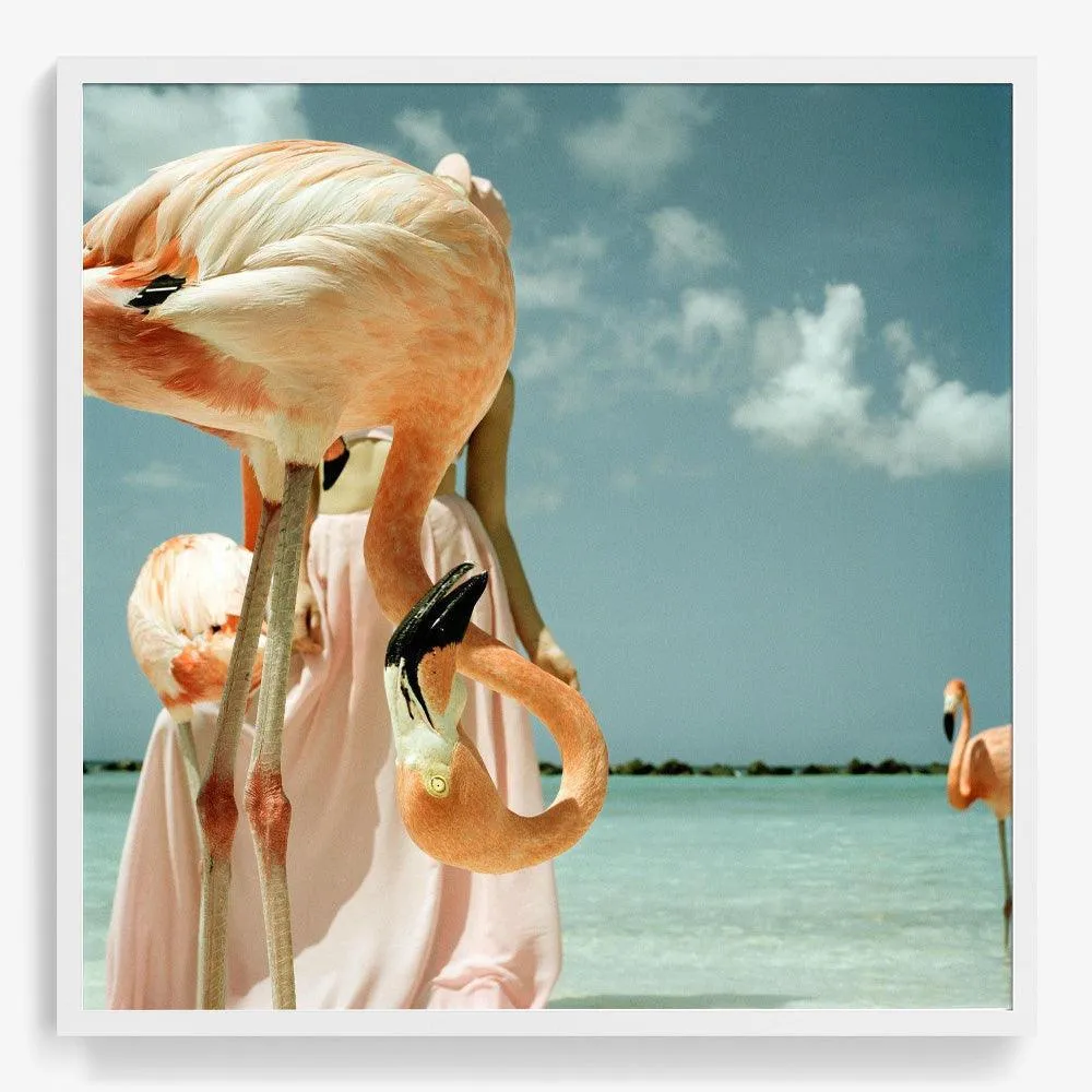 Flamingo 1