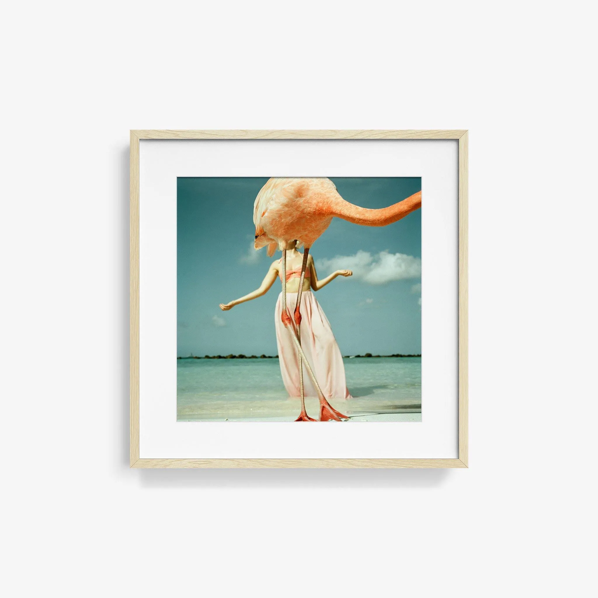 Flamingo 2