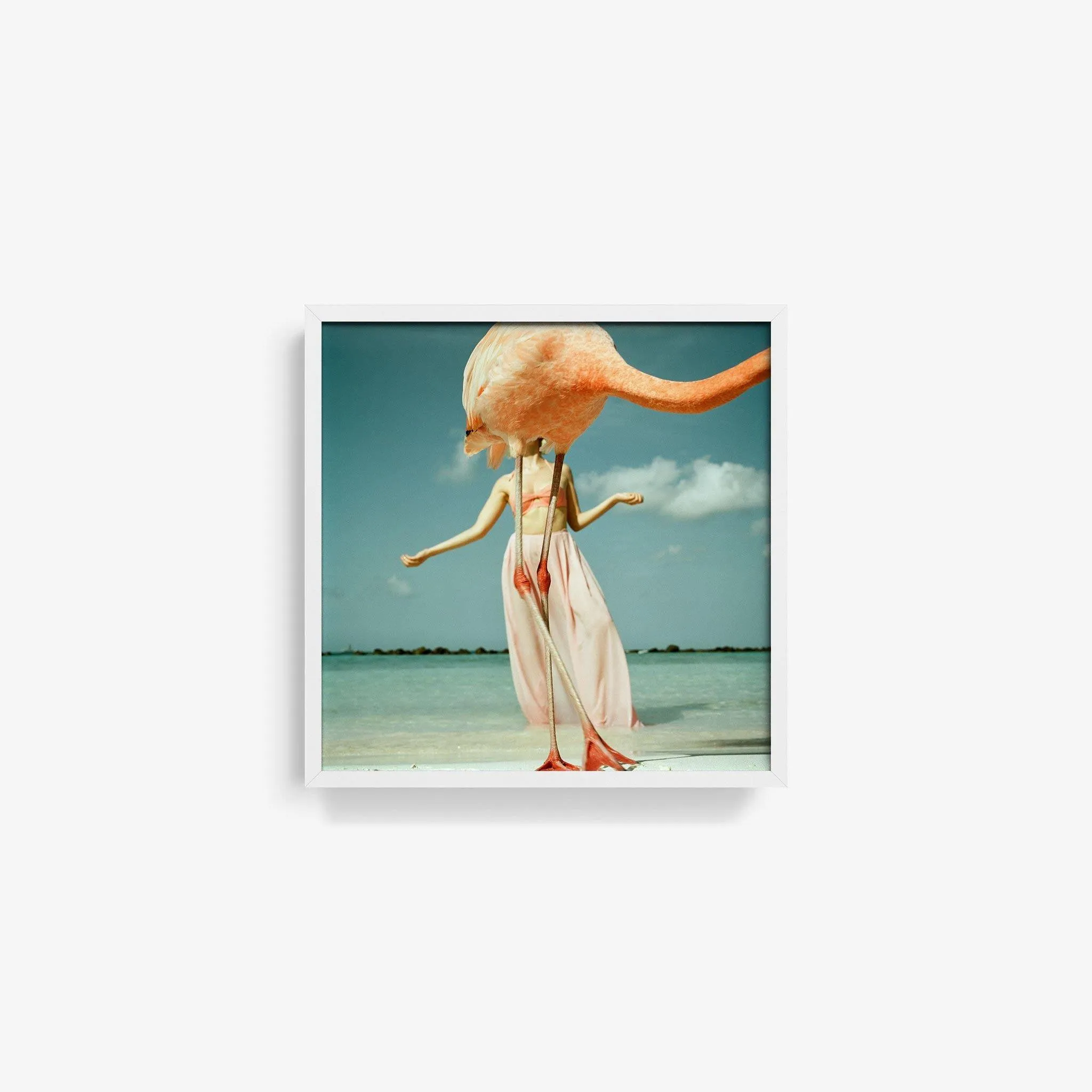 Flamingo 2