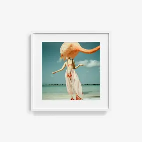 Flamingo 2