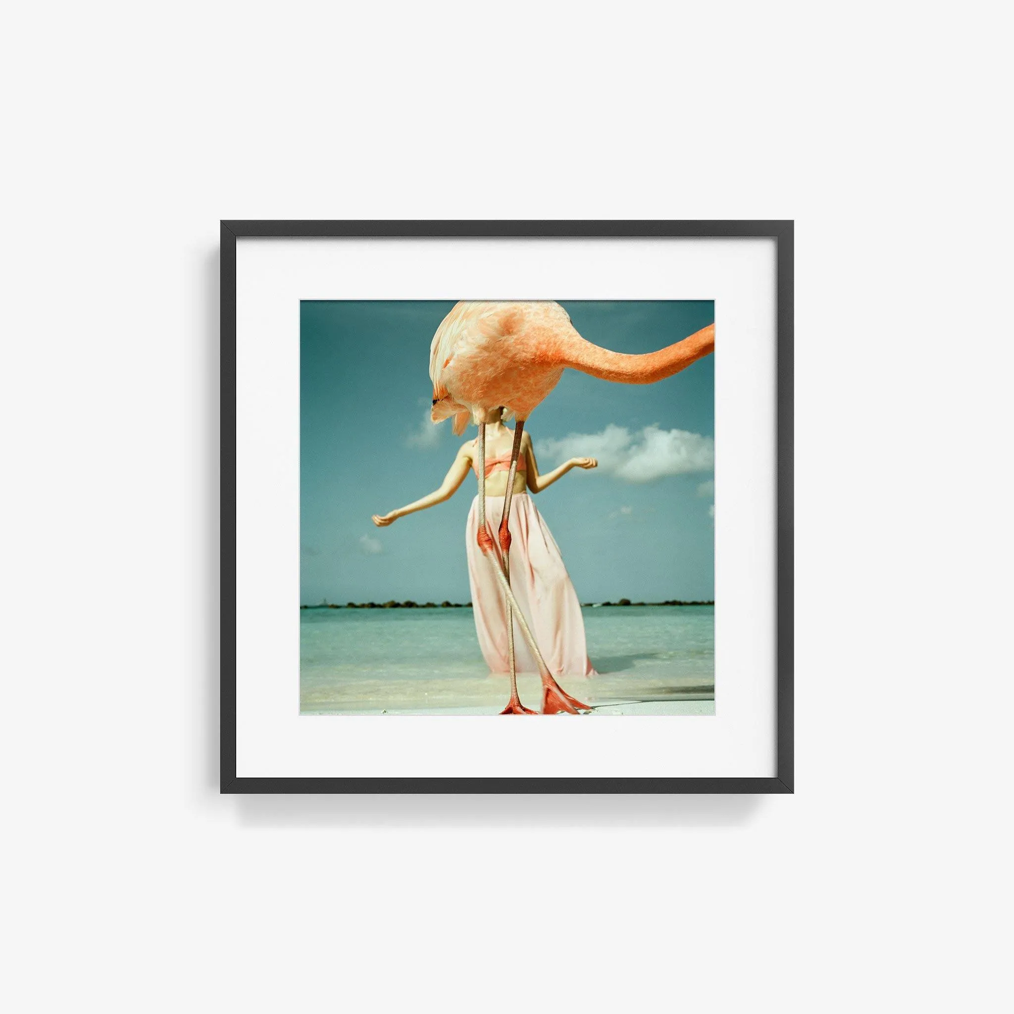 Flamingo 2