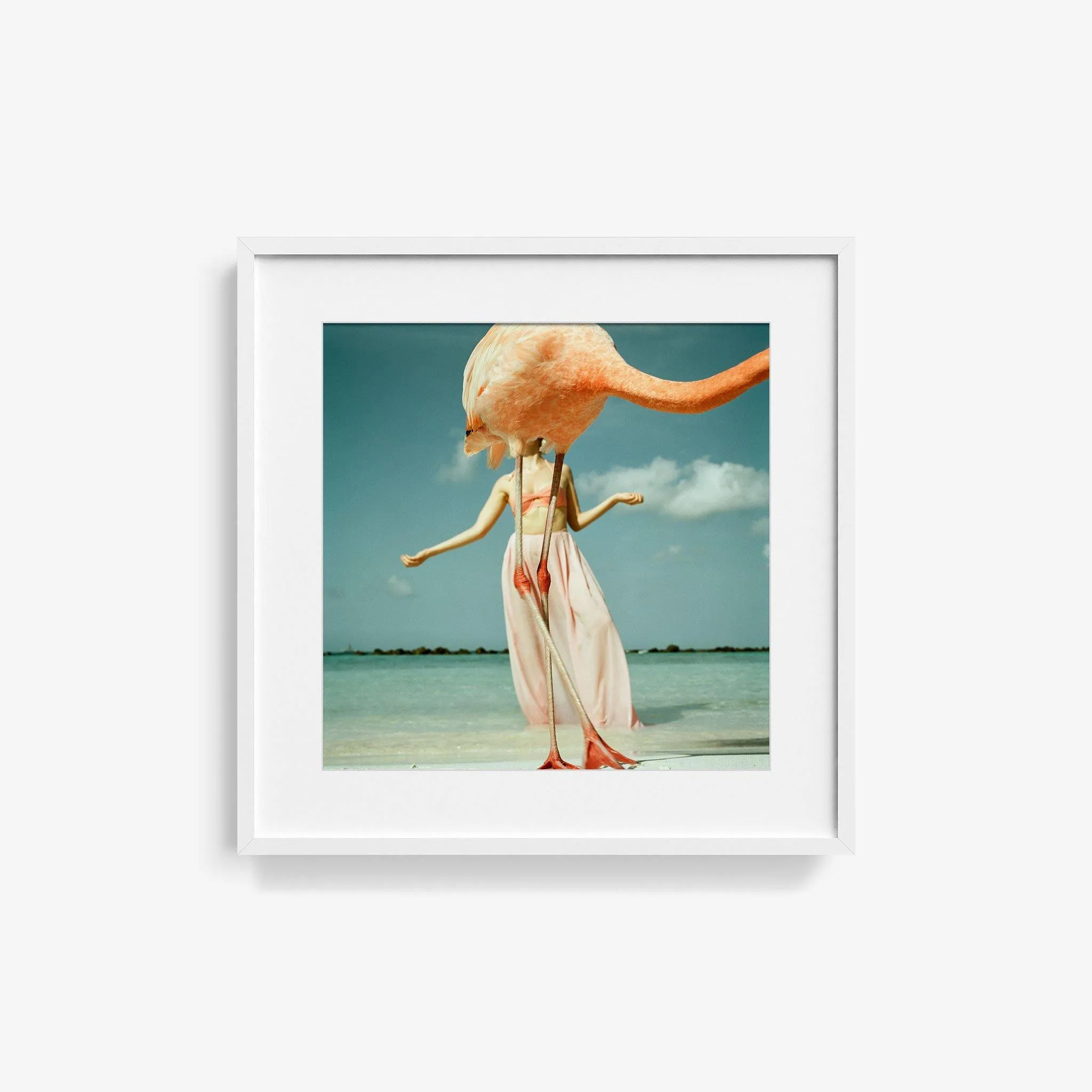 Flamingo 2