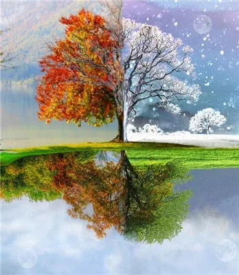 Four Seasons Painting
