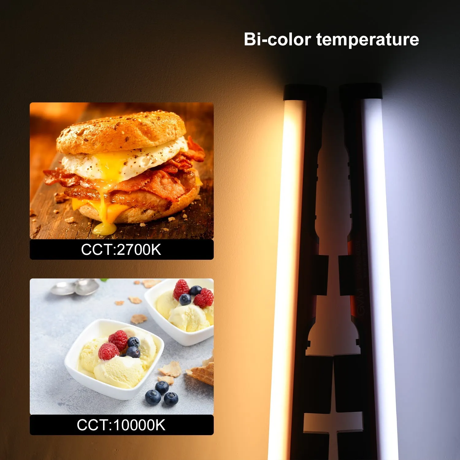 GVM BD25R/BD45R RGB & Bi-color Colorful Tube light