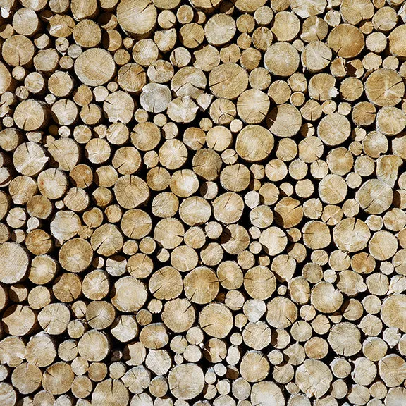 He Who Chops His Own Wood Is Twice Warmed