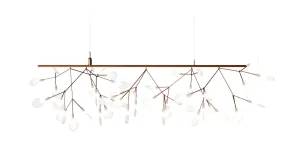 Heracleum Endless