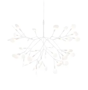 Heracleum III Suspended