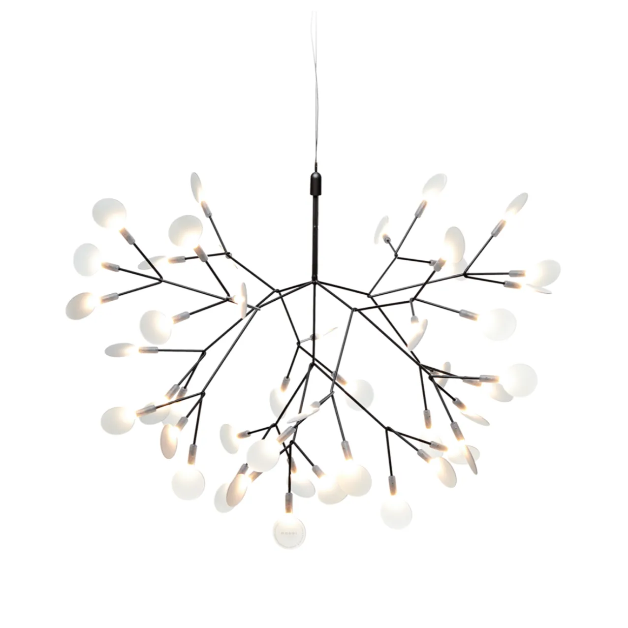 Heracleum III Suspended