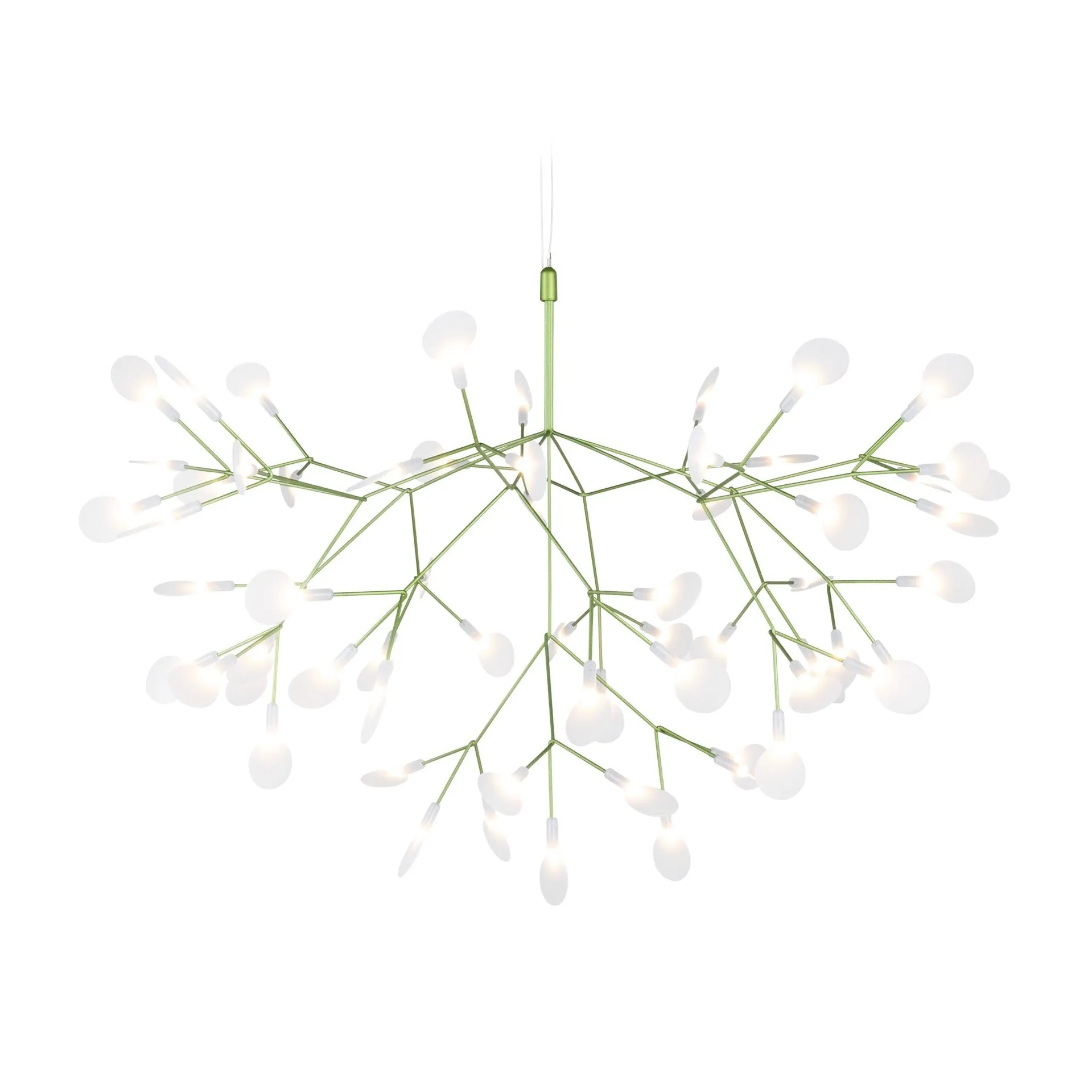 Heracleum III Suspended
