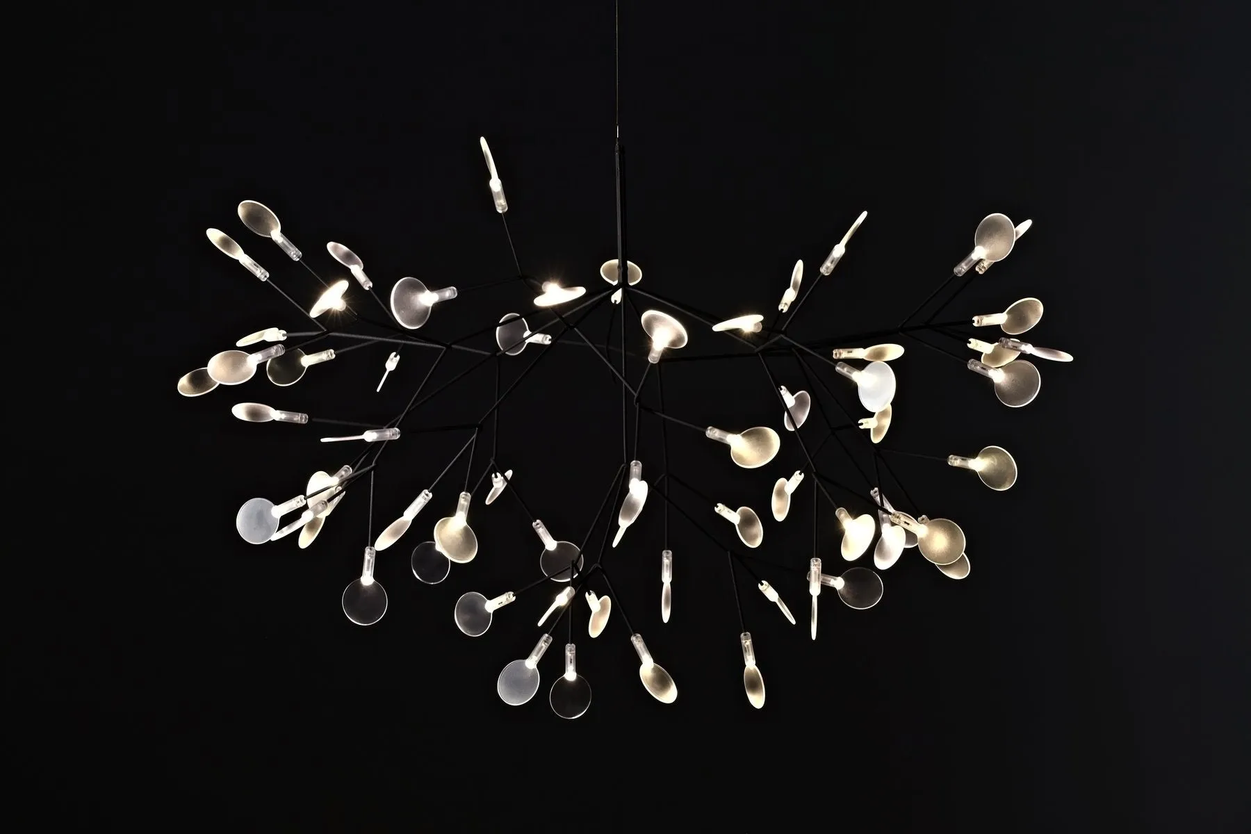 Heracleum III Suspended