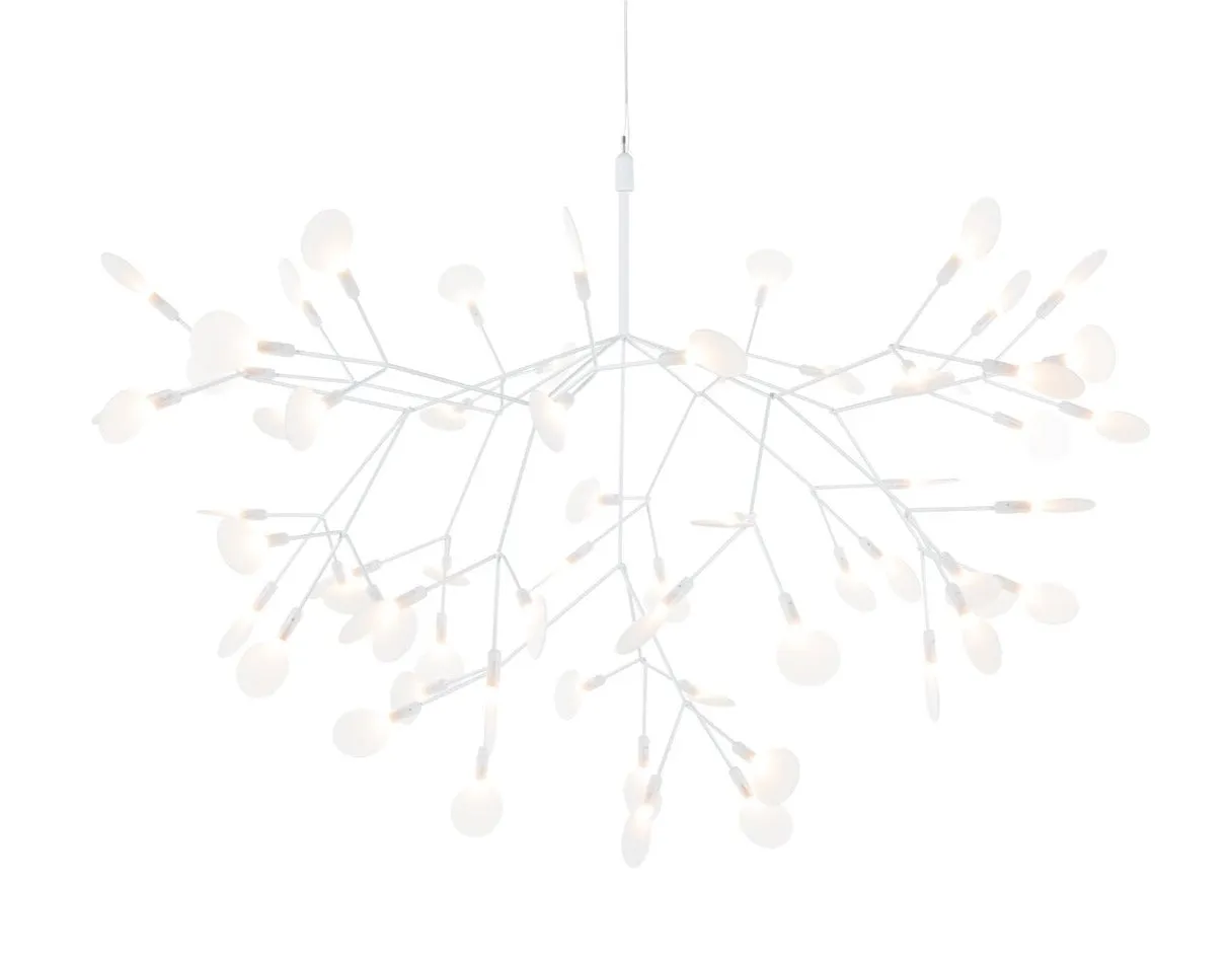 Heracleum III Suspended