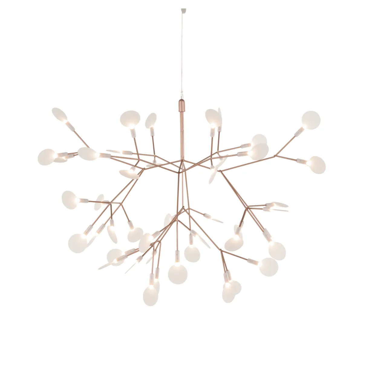 Heracleum III Suspended