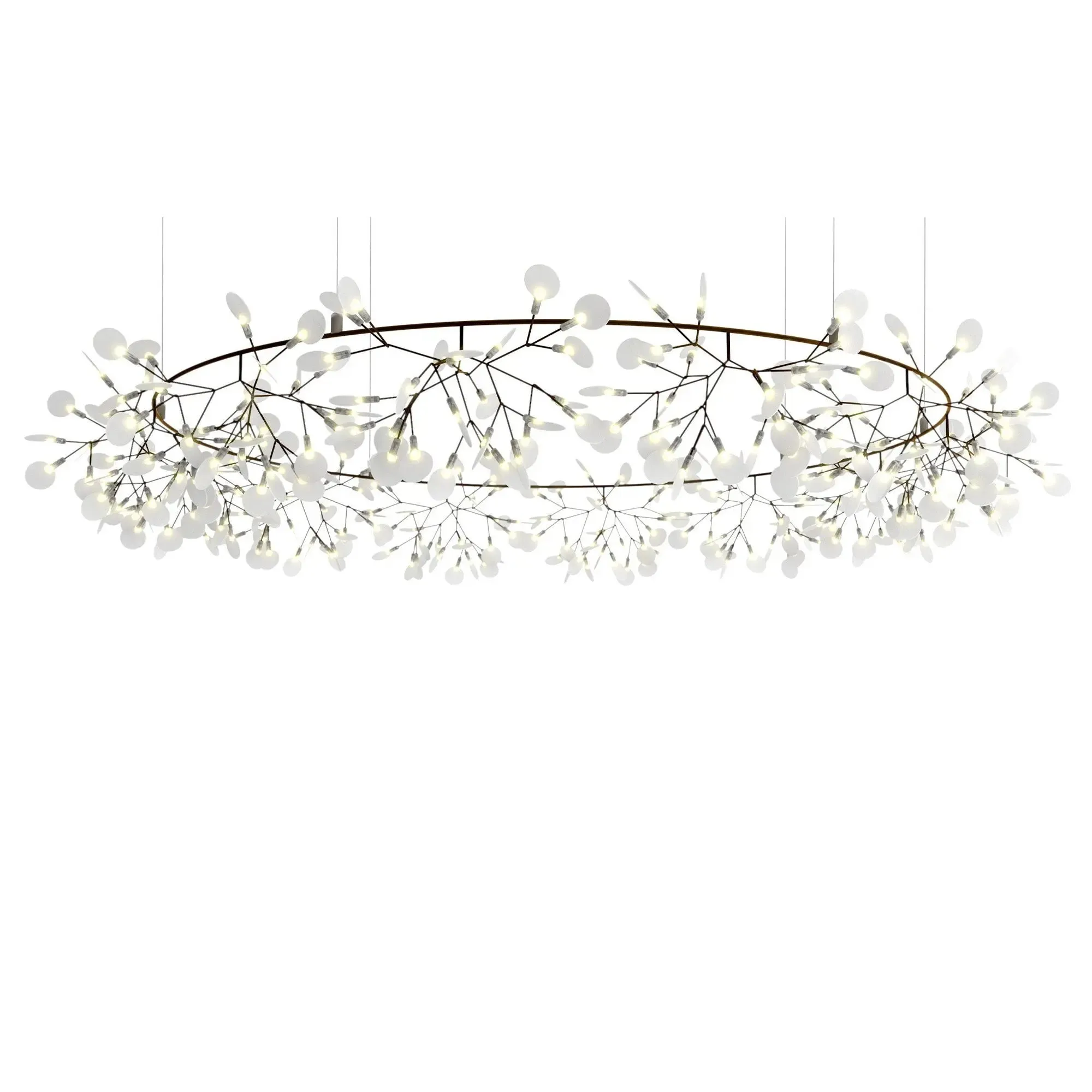 Heracleum III - The Big O