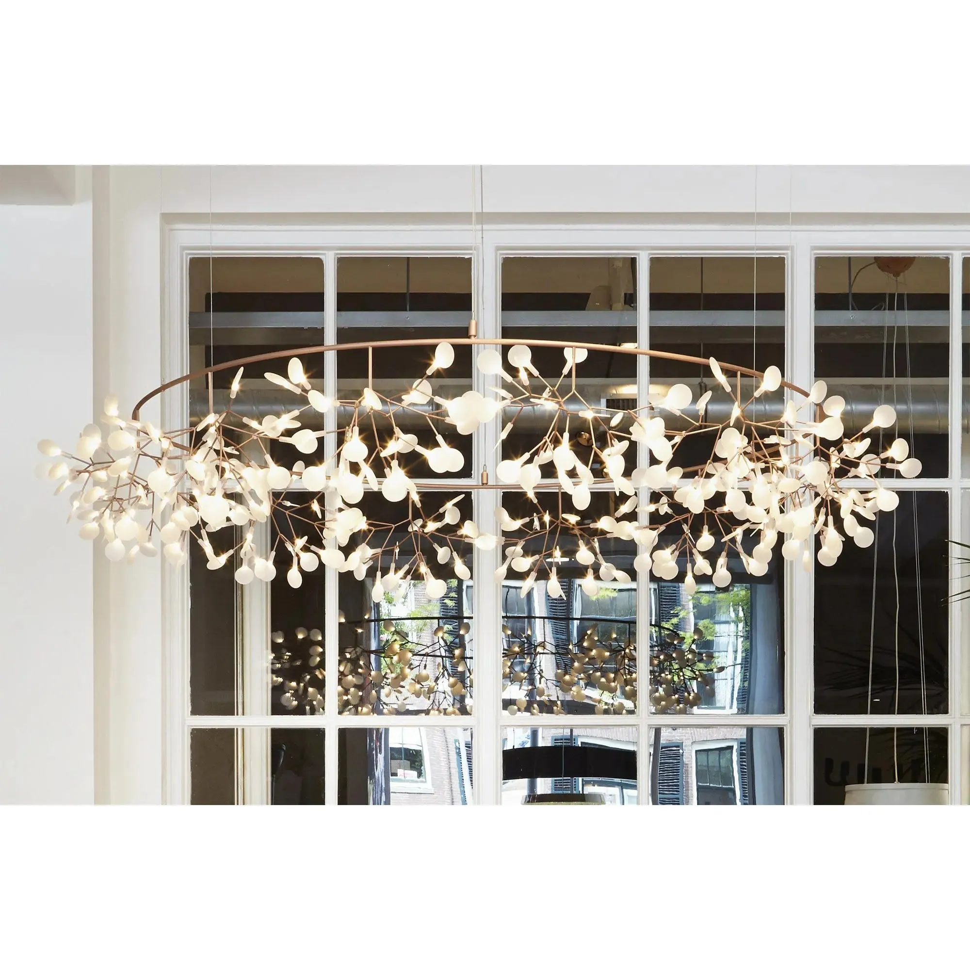 Heracleum III - The Big O
