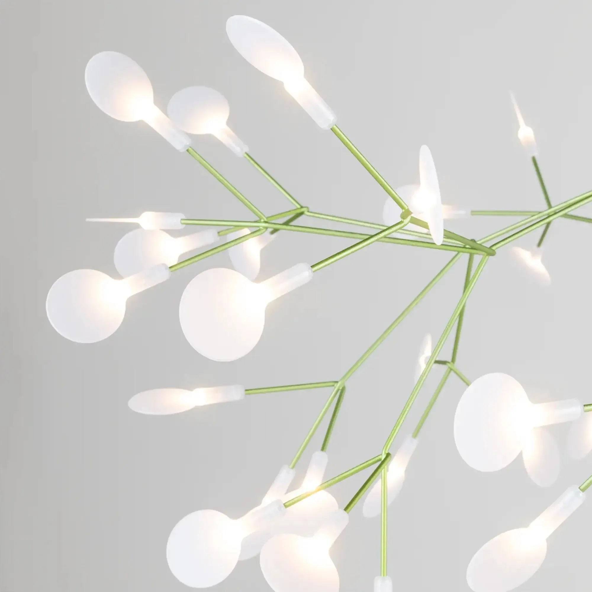 Heracleum III - The Big O