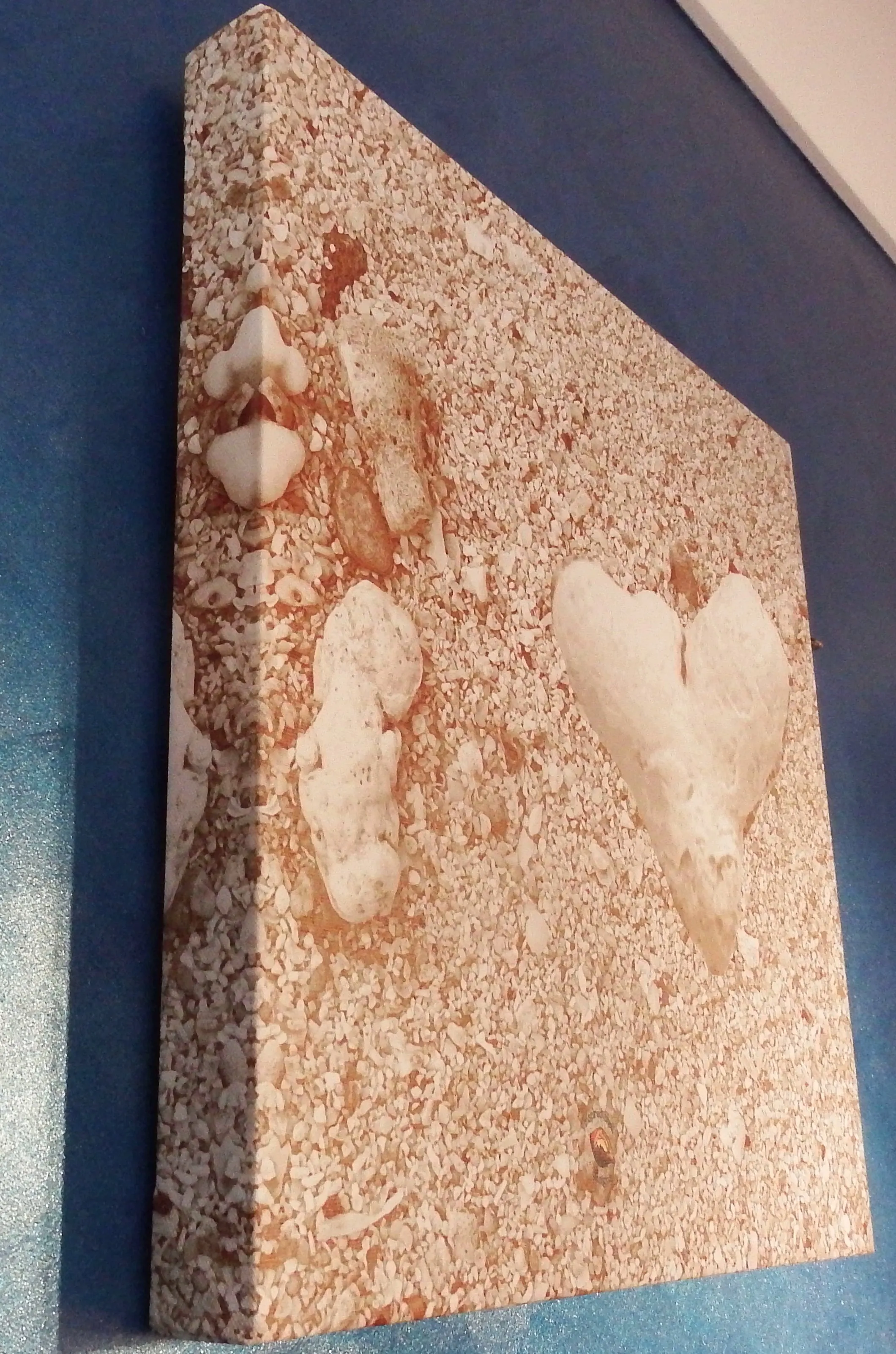 Home Decor Wall Art Beach Natural Neutral