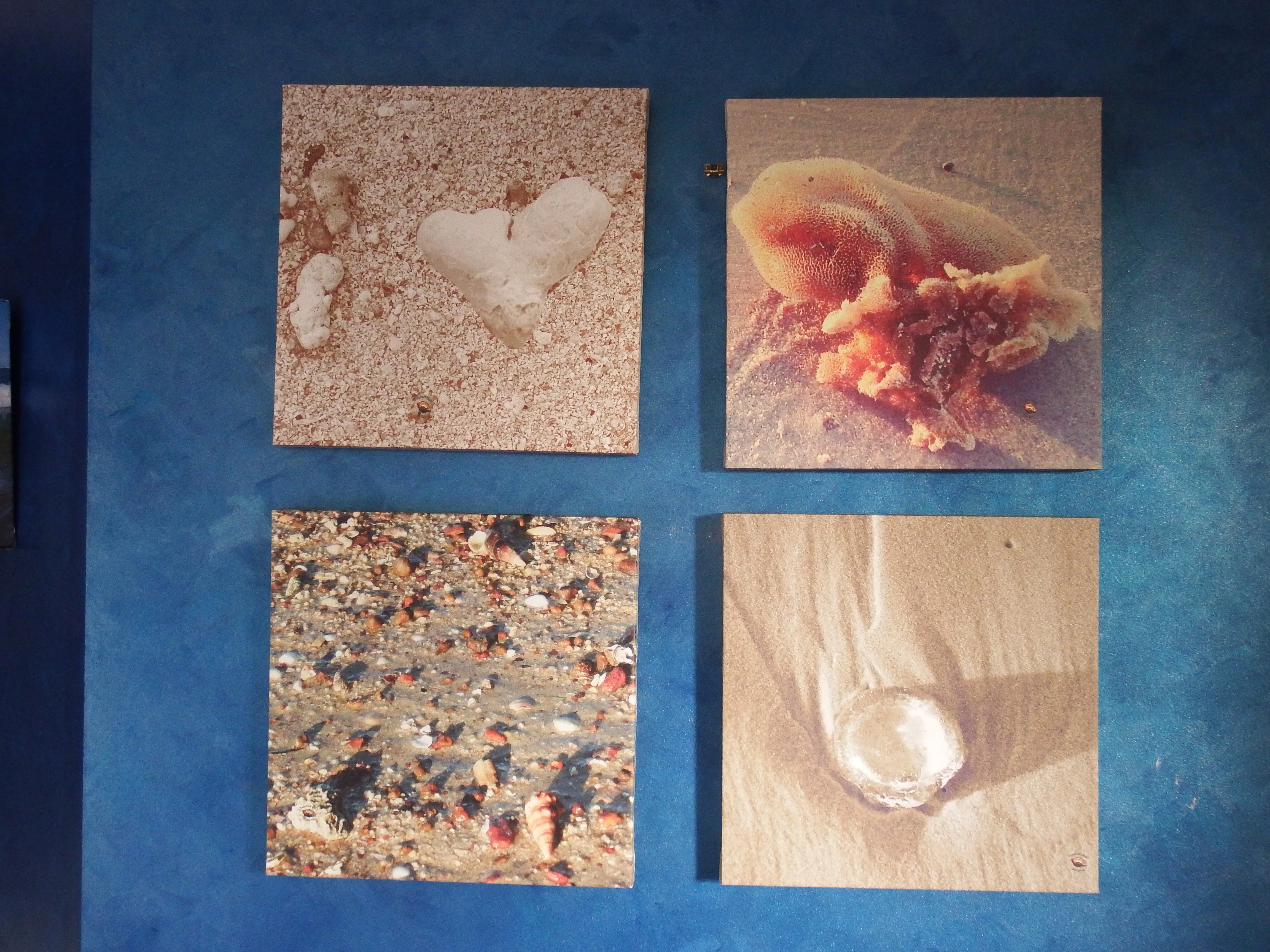 Home Decor Wall Art Beach Natural Neutral