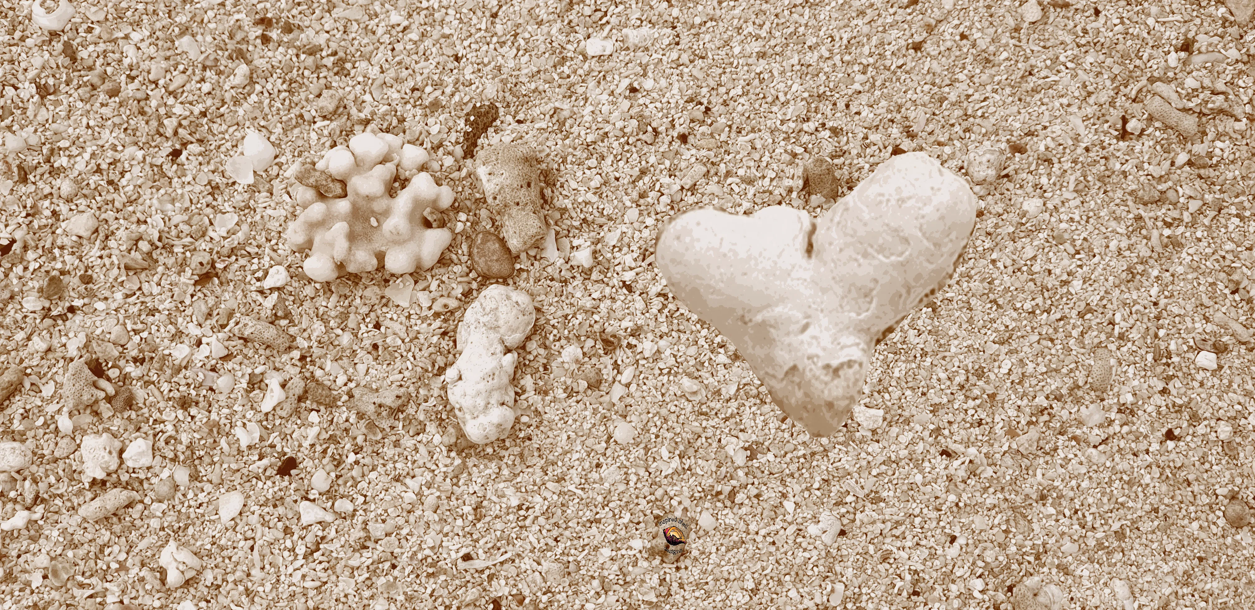 Home Decor Wall Art Beach Natural Neutral