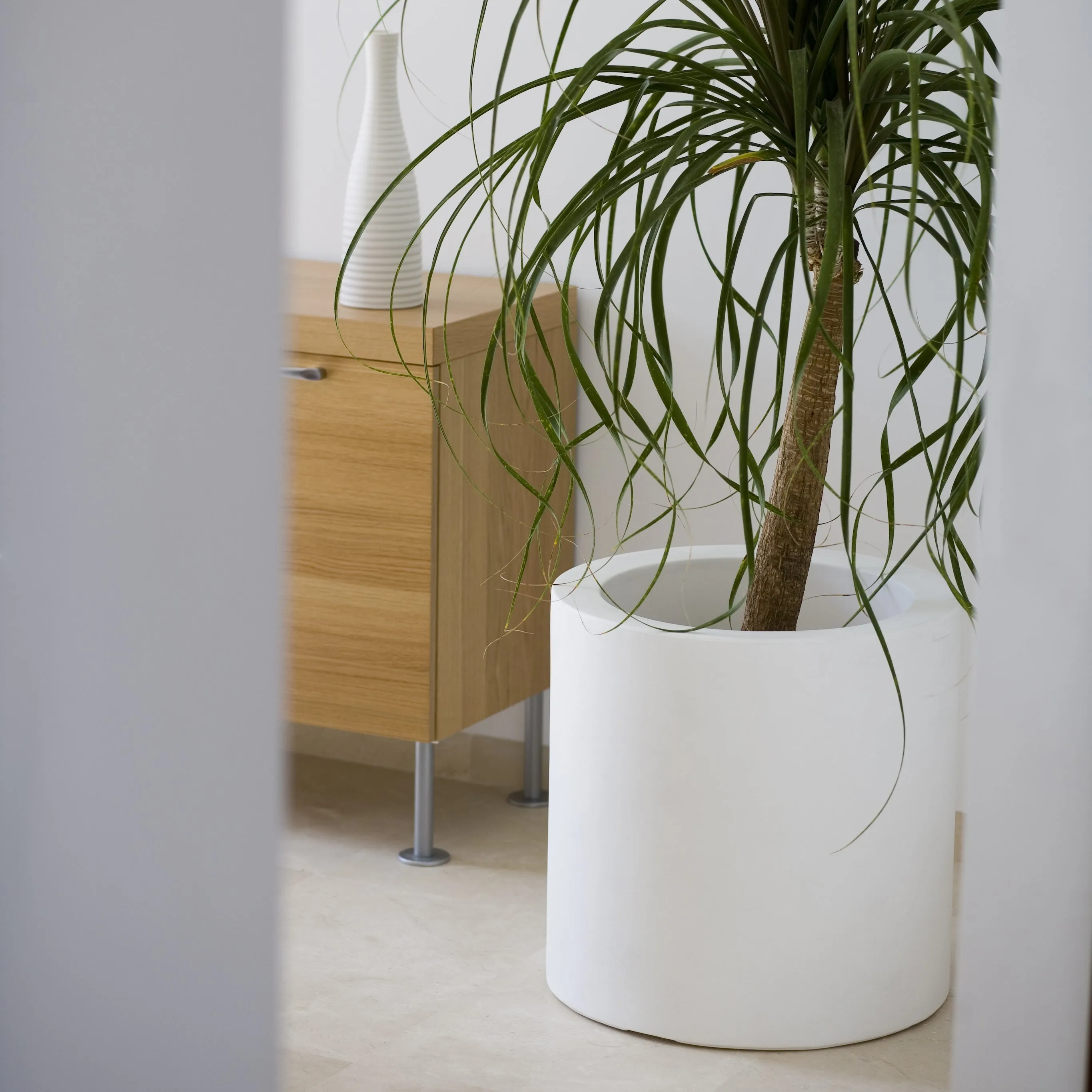 Illuminated Cylinder Planter