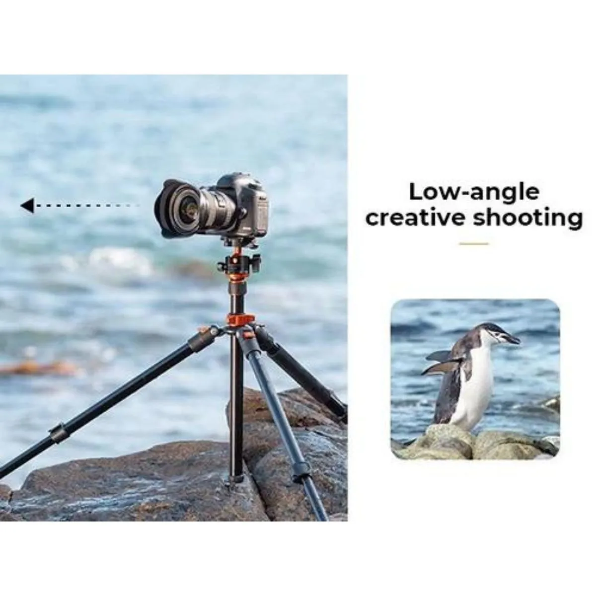 K&F Concept Aluminum Tripod & Detachable Monopod with 2-in-1 Quick Release Plate Kit & 28mm Metal Ball Head for Sony Canon Nikon Fujifilm Panasonic Lumix Digital Camera & iPhone & Android Phones