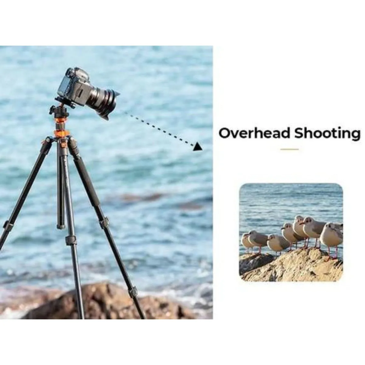 K&F Concept Aluminum Tripod & Detachable Monopod with 2-in-1 Quick Release Plate Kit & 28mm Metal Ball Head for Sony Canon Nikon Fujifilm Panasonic Lumix Digital Camera & iPhone & Android Phones