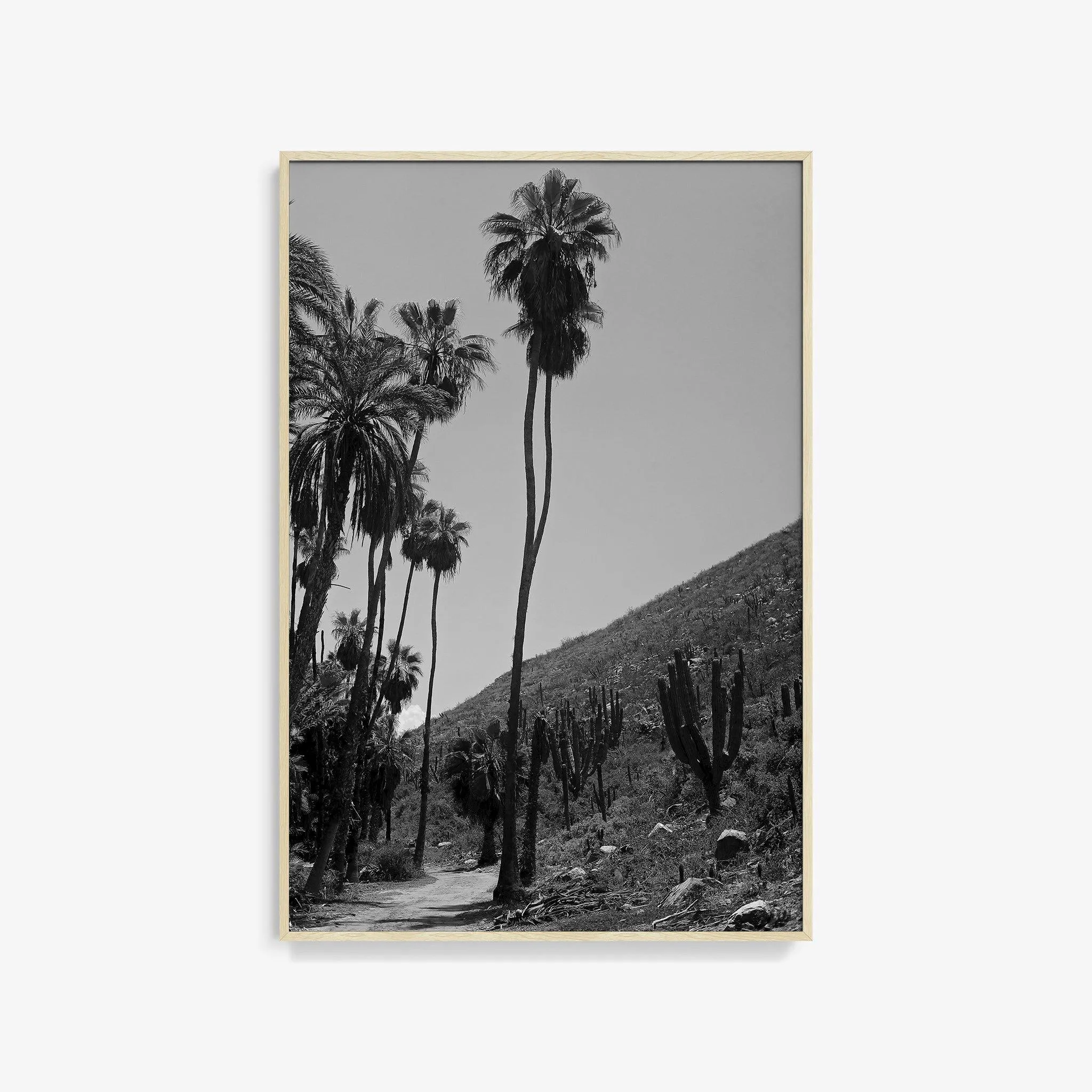 Las Palmas