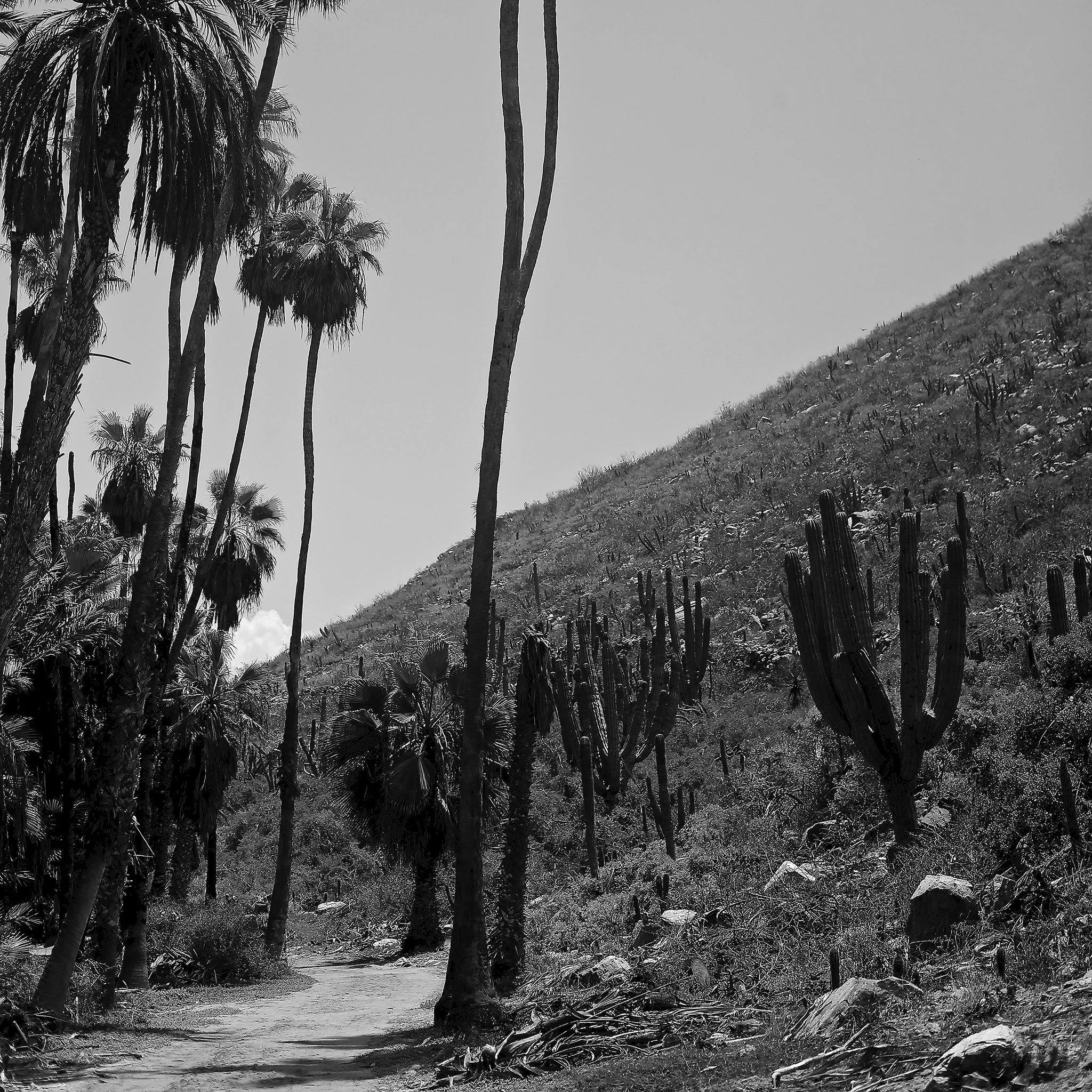 Las Palmas