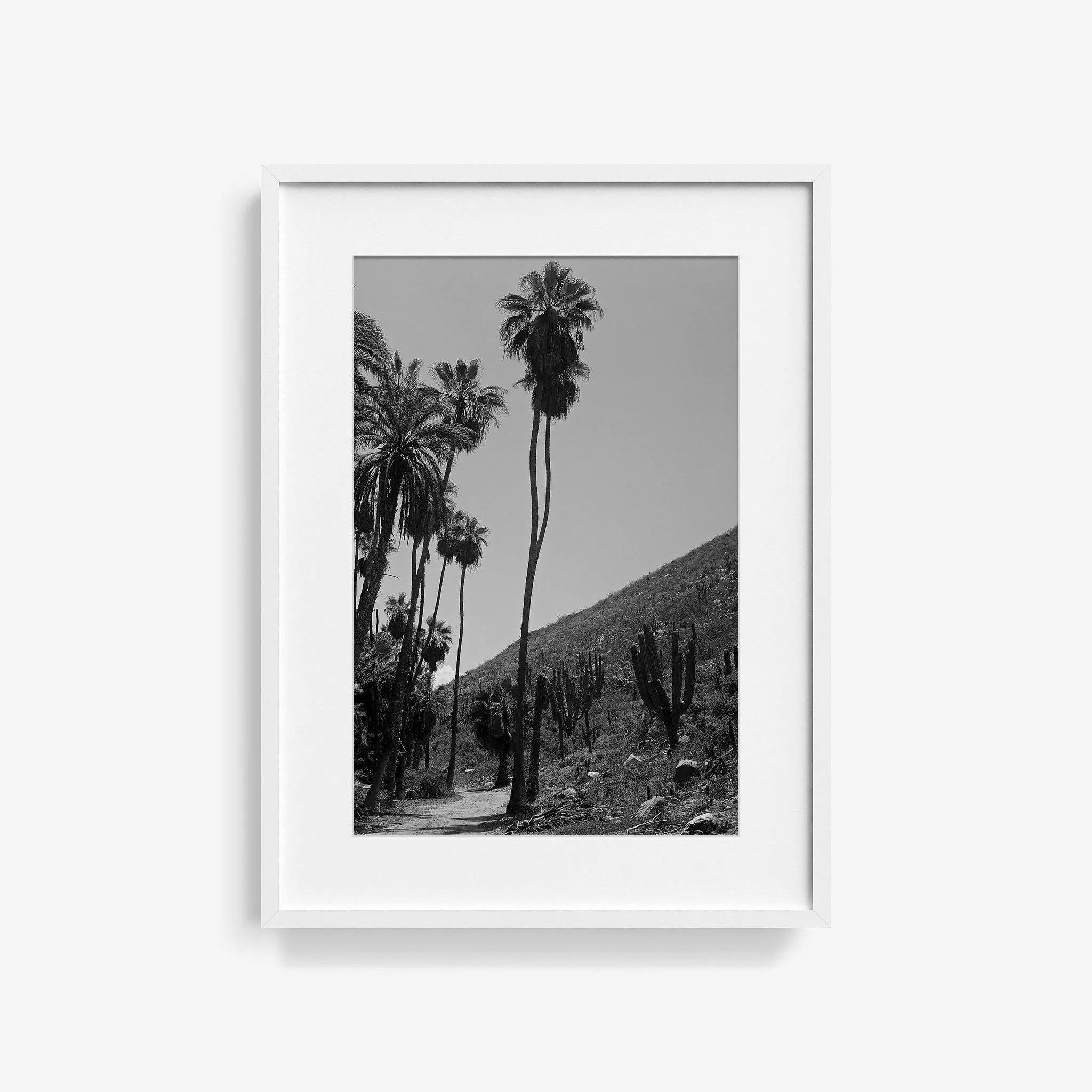Las Palmas