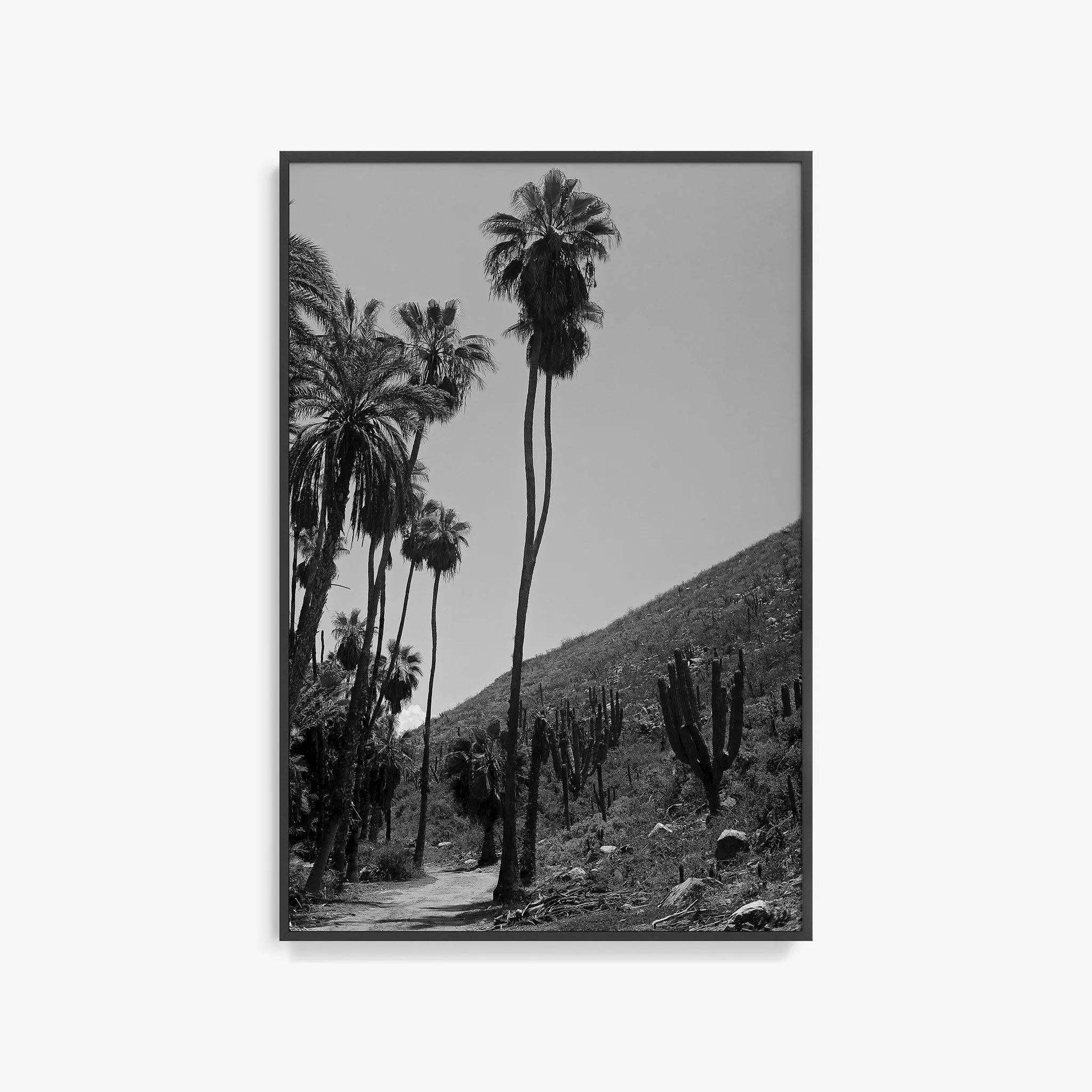 Las Palmas