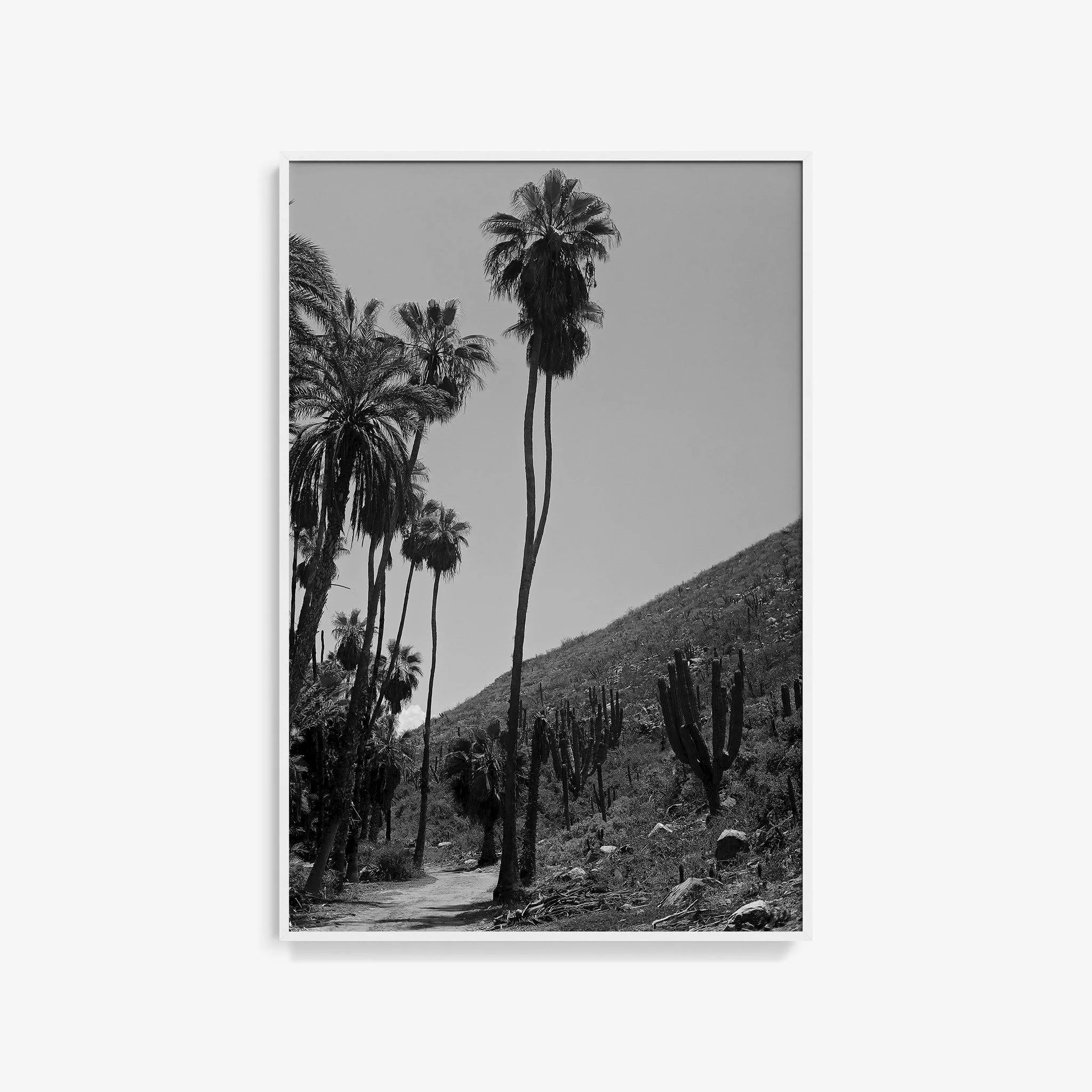 Las Palmas