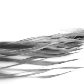 Leica Lounge | Little Landscapes | Photographs by Leslie Sternlieb | Fri, June 7, 2024, 7 PM
