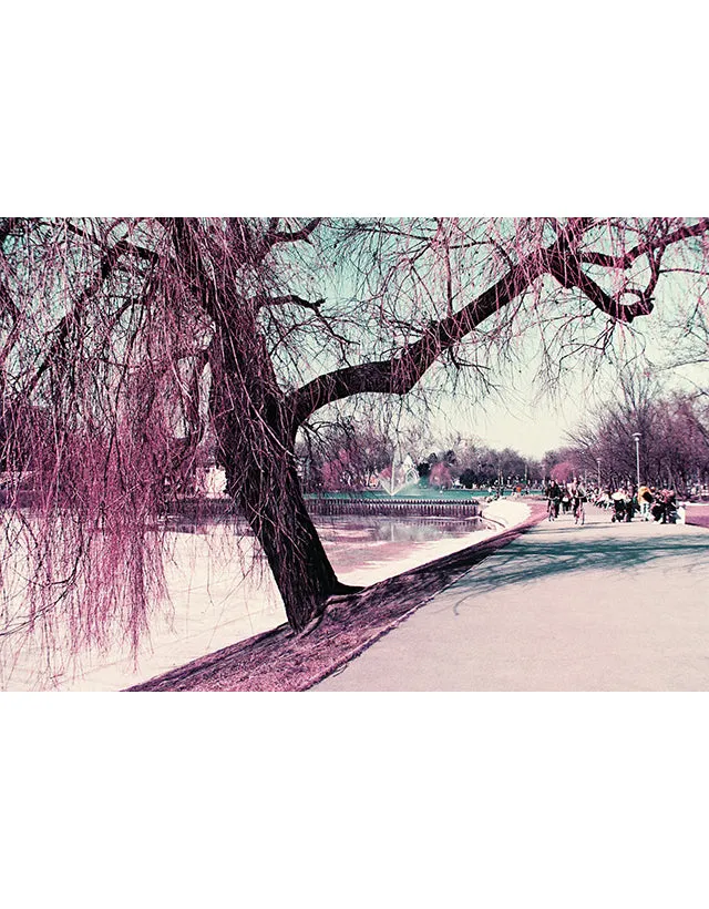 Lomography - Analogue Quartet
