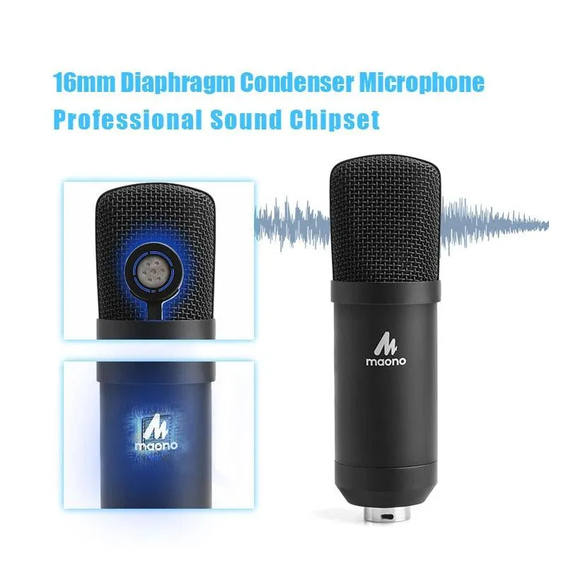 Microphone Condenser Professional Recording Studio