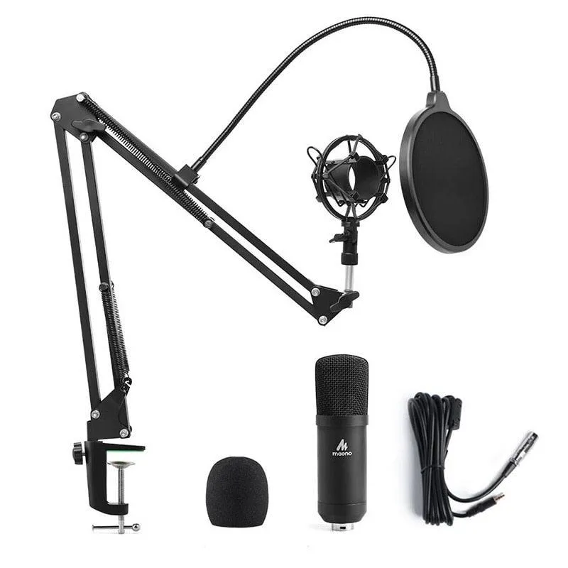 Microphone Condenser Professional Recording Studio