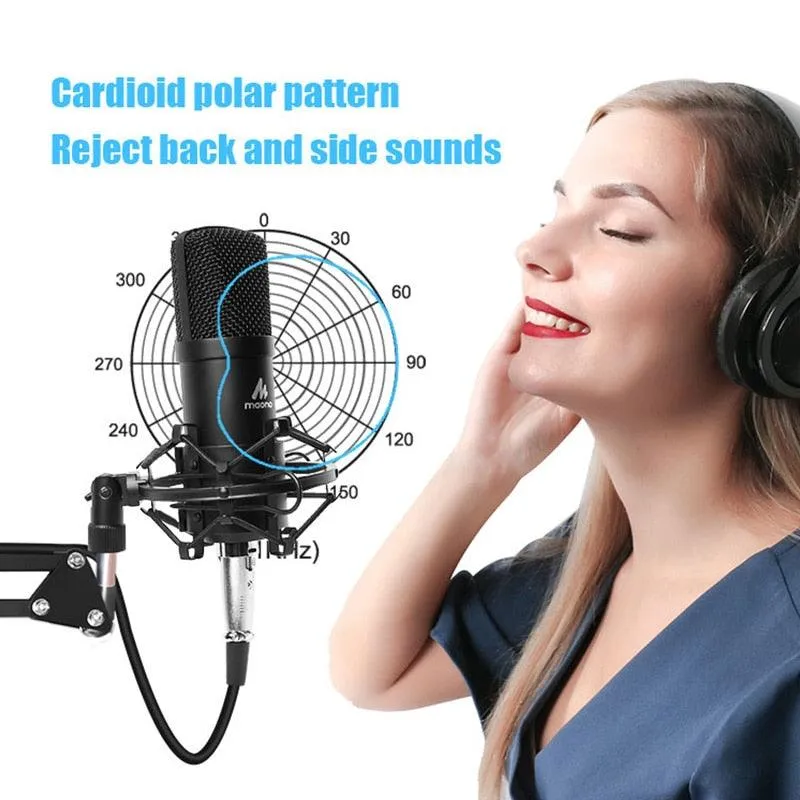 Microphone Condenser Professional Recording Studio