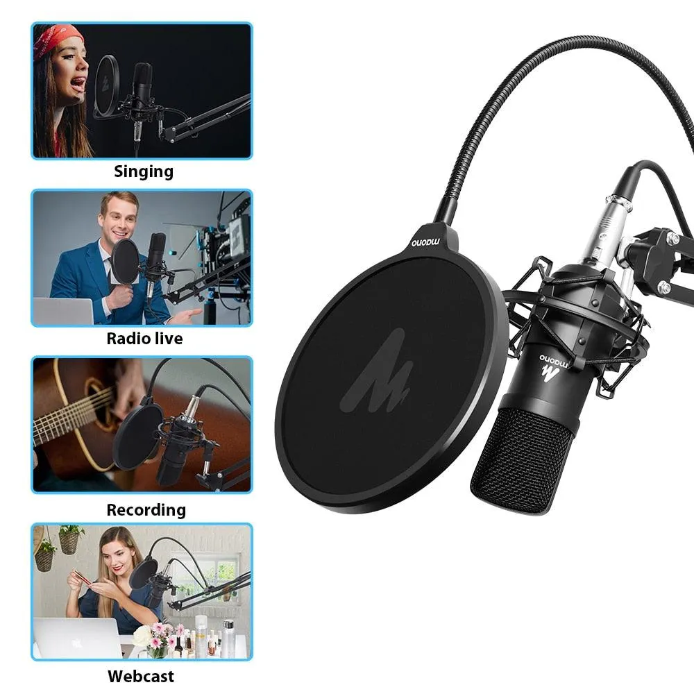 Microphone Condenser Professional Recording Studio