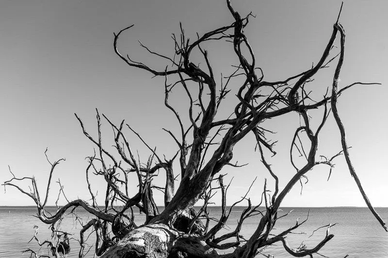 New Orleans Monochrom Workshop with Richard Sexton | Thurs, Mar. 10 - Sun, Mar. 13, 2016