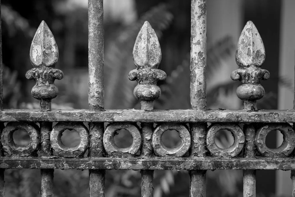 New Orleans Monochrom Workshop with Richard Sexton | Thurs, Mar. 10 - Sun, Mar. 13, 2016