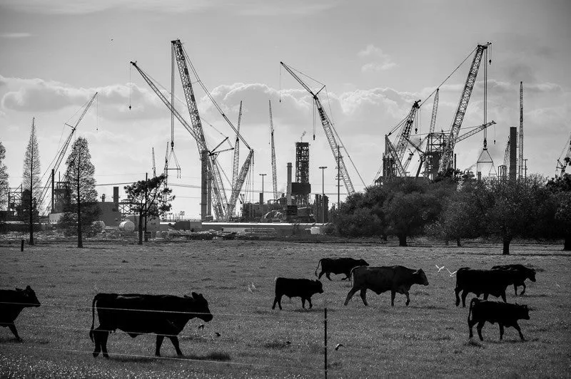 New Orleans Monochrom Workshop with Richard Sexton | Thurs, Mar. 10 - Sun, Mar. 13, 2016