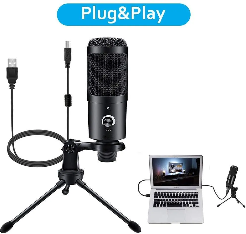 Professional Studio Microphone
