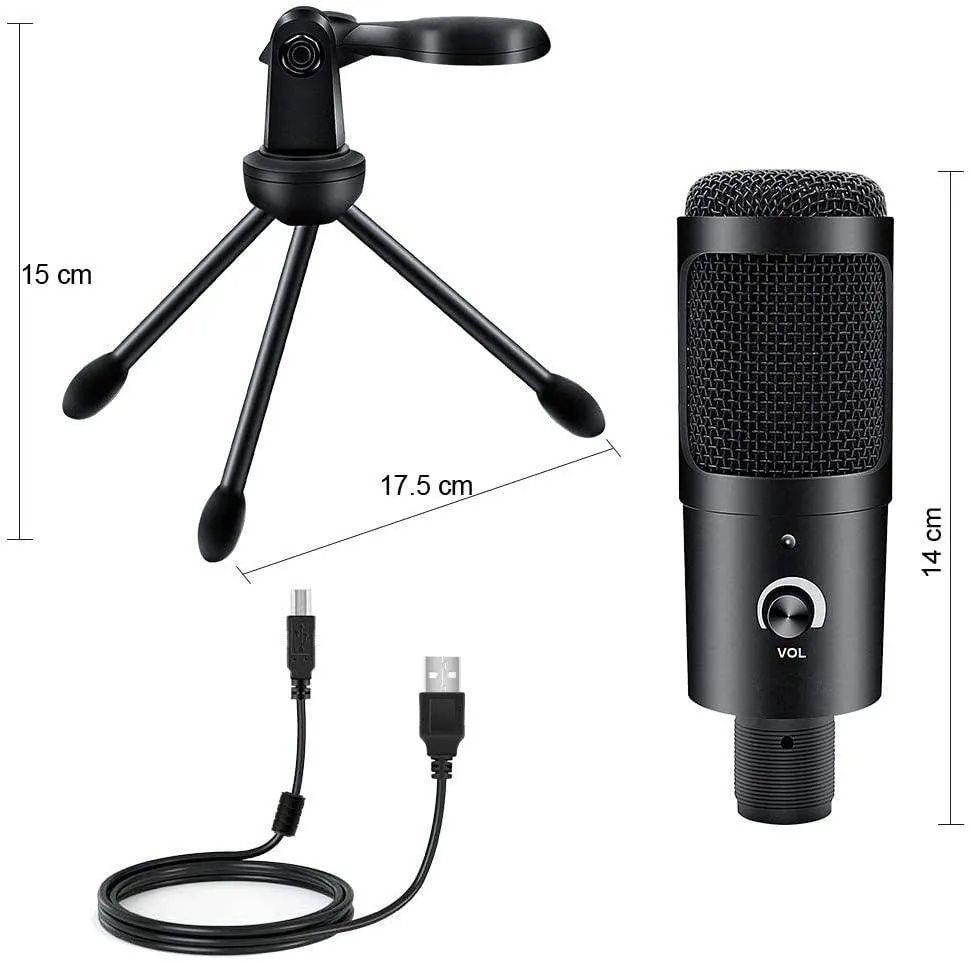 Professional Studio Microphone